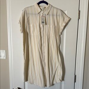Wonderly Beige Striped Button-Down Mini Dress